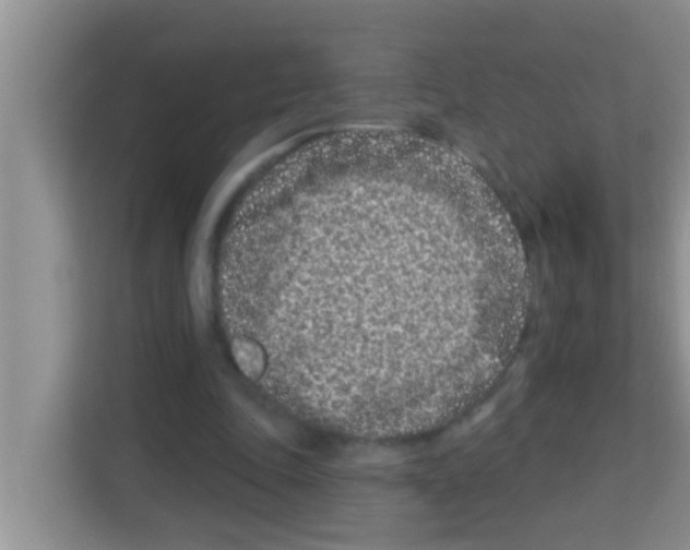 X0000113120343200910091141