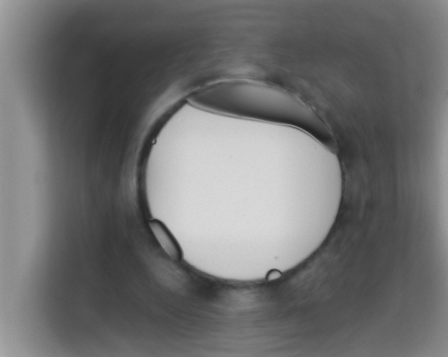 X0000113120344200910091141