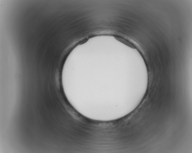 X0000113120345200910091141