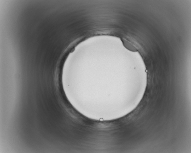 X0000113120346200910091141