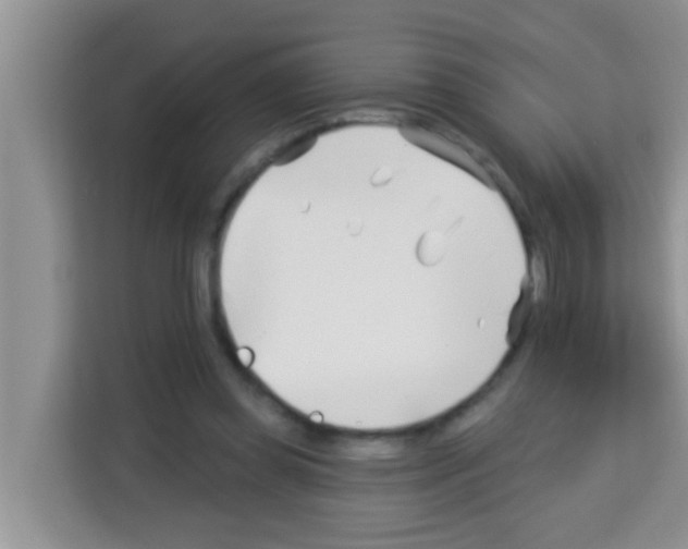 X0000113120349200910091141