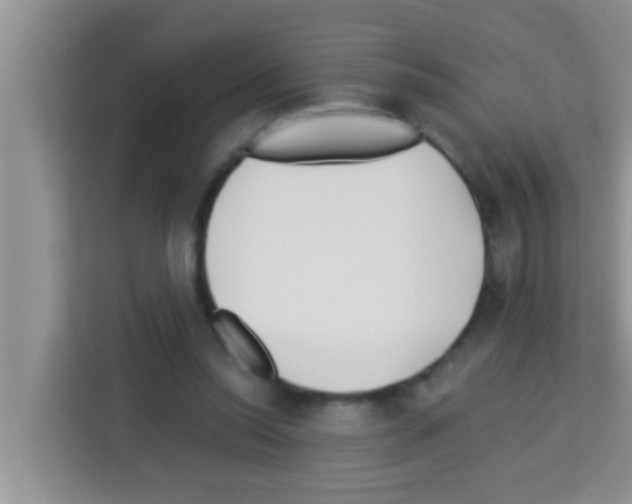 X0000113120350200910091141