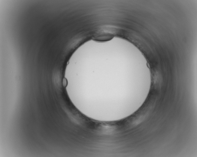 X0000113120352200910091141