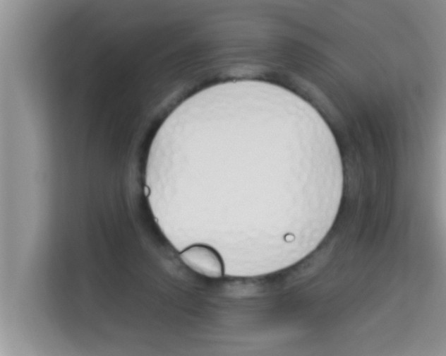 X0000113120354200910091141