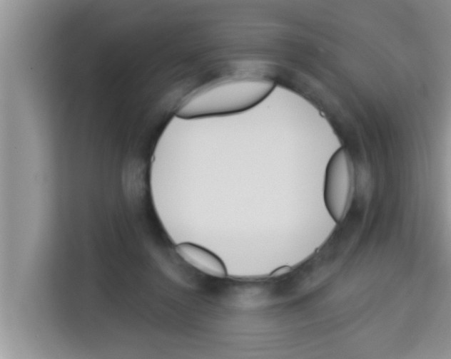 X0000113120356200910091141
