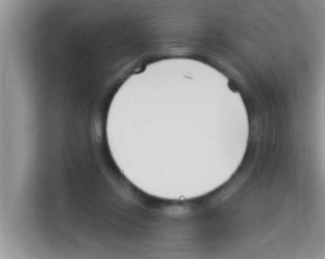 X0000113120358200910091141