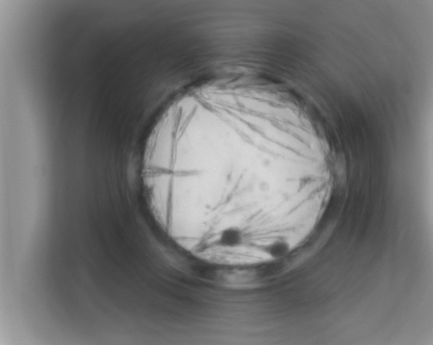 X0000113120359200910091141