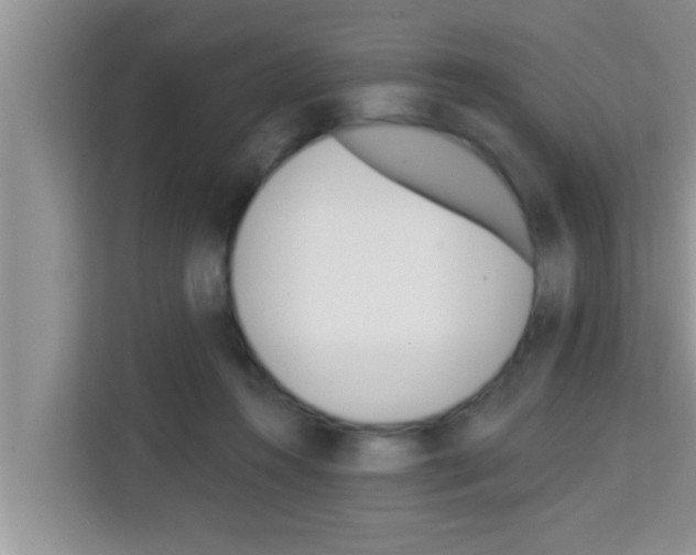 X0000113120360200910091141