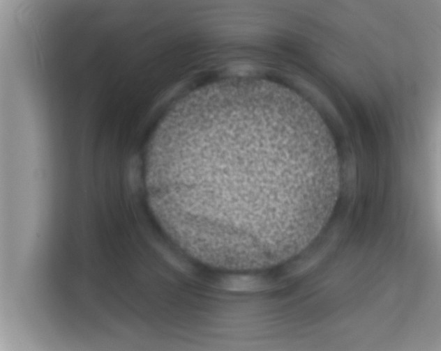 X0000113120361200910091141