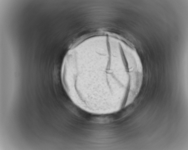 X0000113120366200910091141