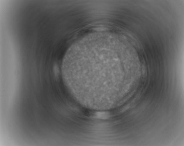 X0000113120371200910091142