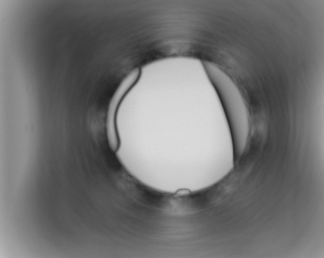 X0000113120372200910091142
