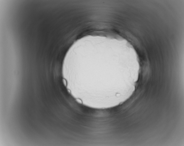 X0000113120376200910091142