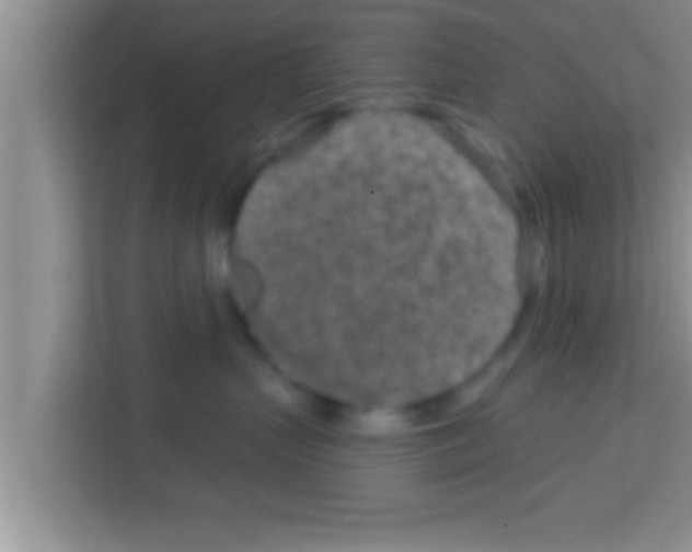 X0000113120383200910091142