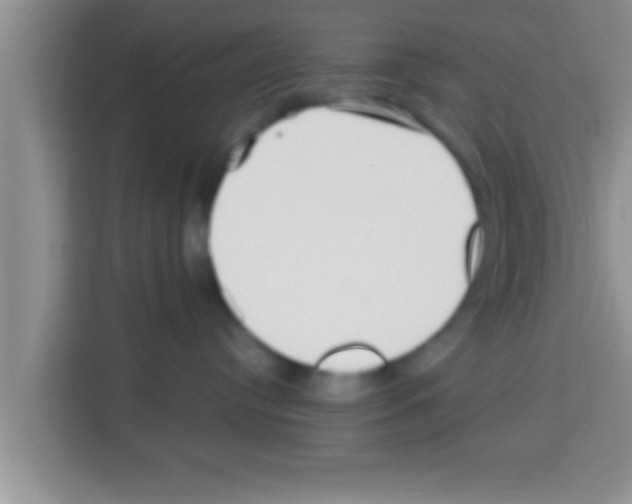 X0000113120384200910091142