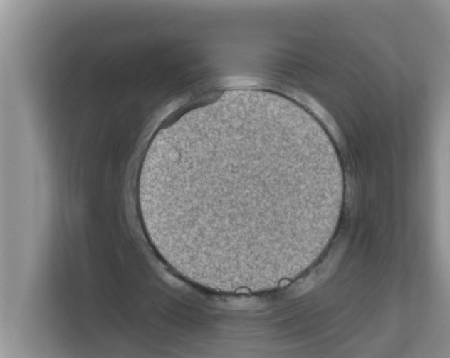X0000113120385200910091141