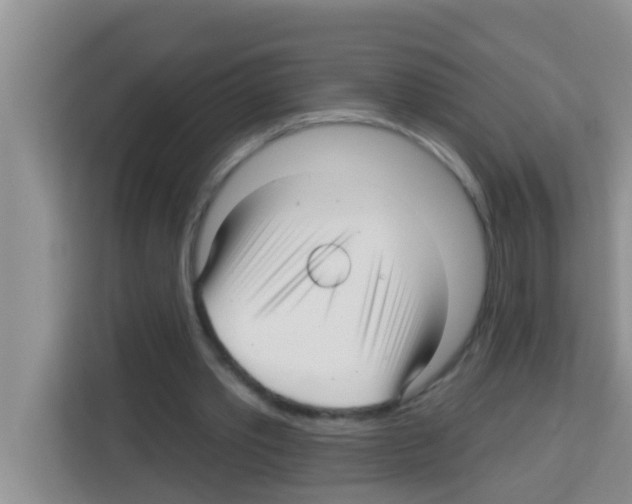 X0000113120389200910091141