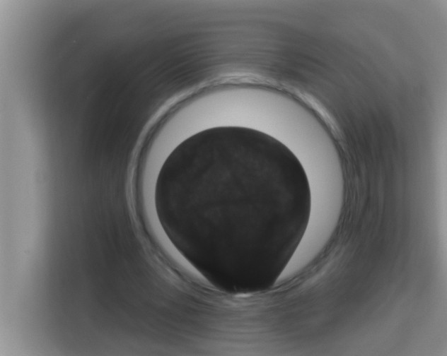 X0000113120391200910091141