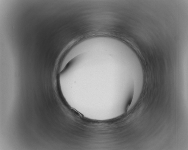 X0000113120395200910091141