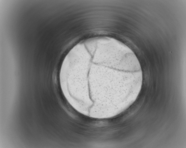 X0000113120398200910091141