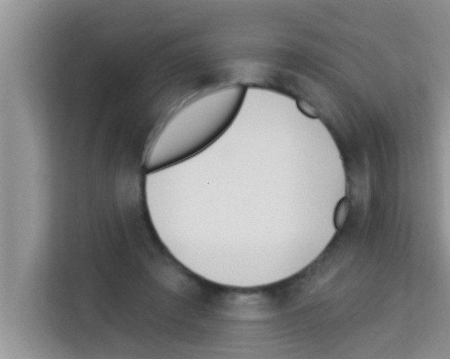 X0000113120401200910091141