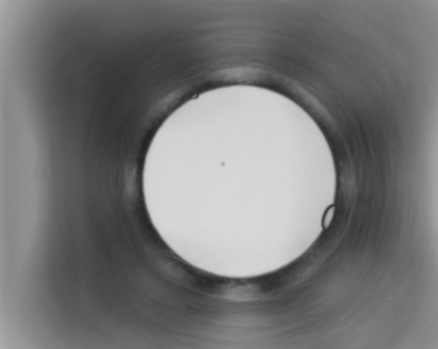 X0000113120403200910091141