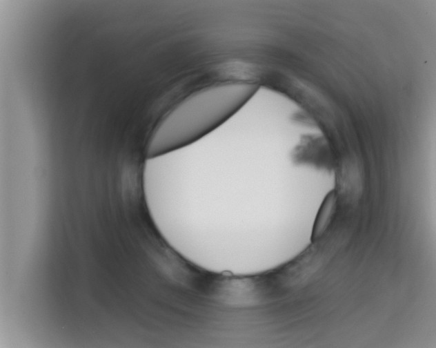 X0000113120409200910091141
