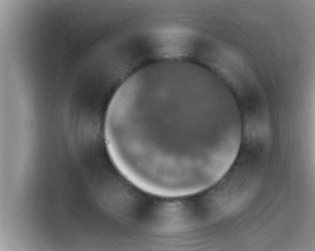 X0000113120411200910091141