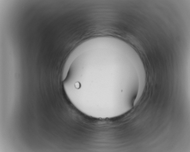 X0000113120415200910091141