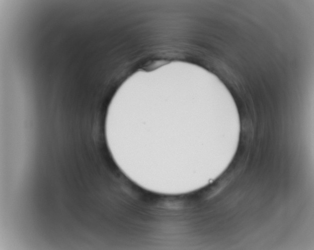 X0000113120416200910091141