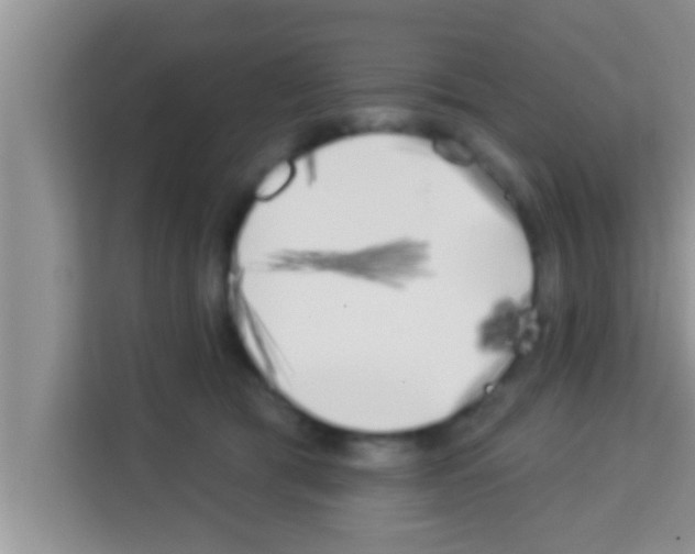 X0000113120417200910091141
