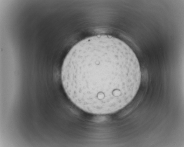 X0000113120418200910091141