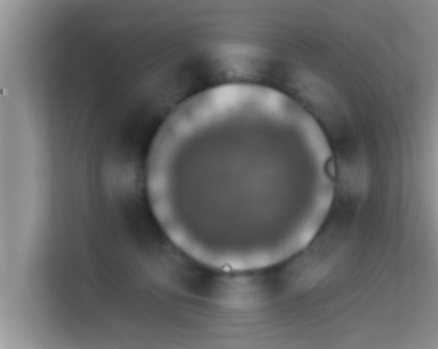 X0000113120419200910091141