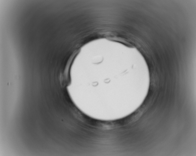 X0000113120420200910091141