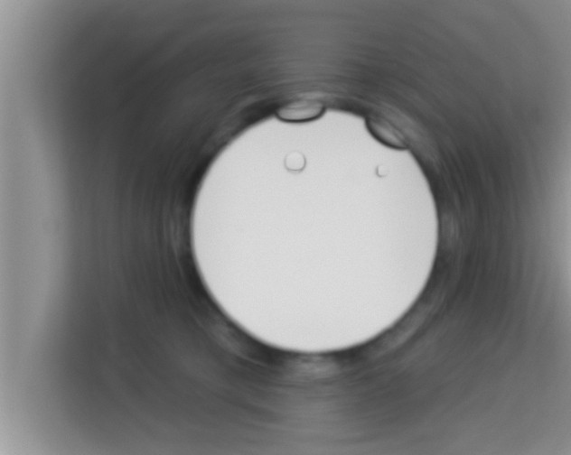 X0000113120421200910091141