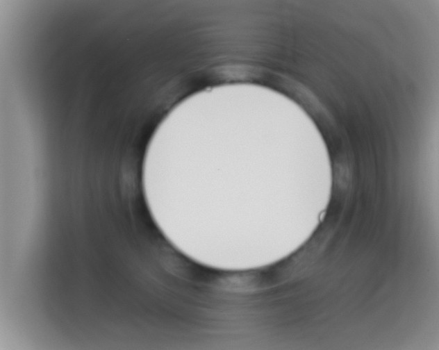 X0000113120422200910091141