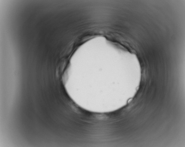X0000113120424200910091141