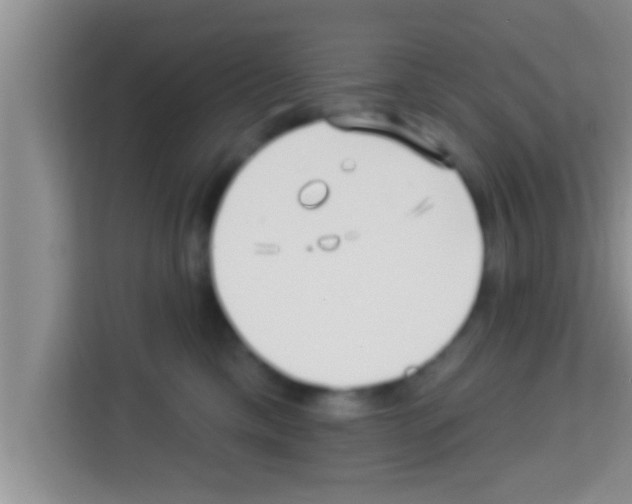X0000113120425200910091141