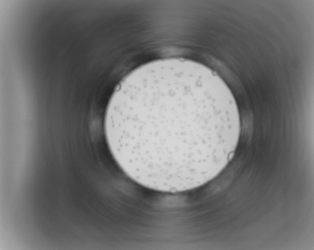 X0000113120426200910091141