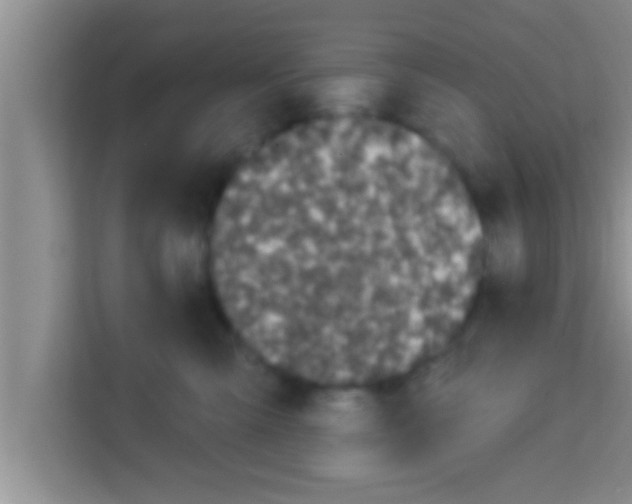 X0000113120427200910091141
