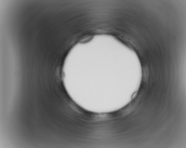 X0000113120428200910091141