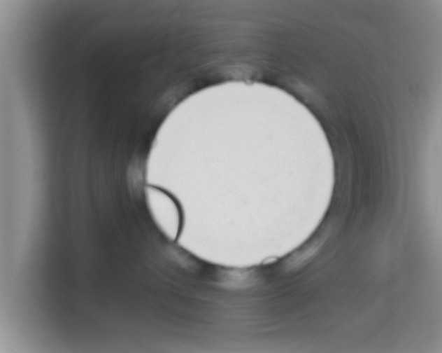 X0000113120432200910091140