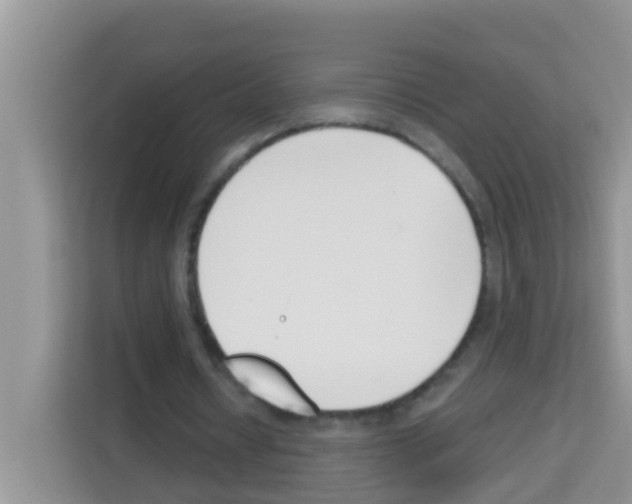 X0000113120434200910091140