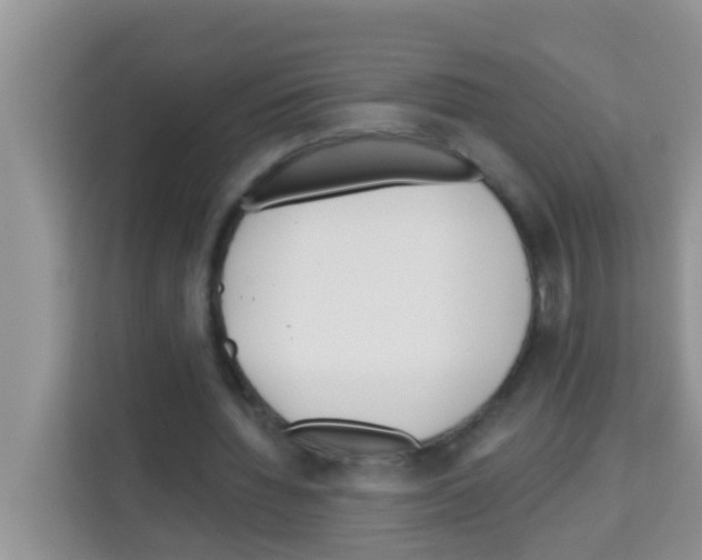 X0000113120436200910091140