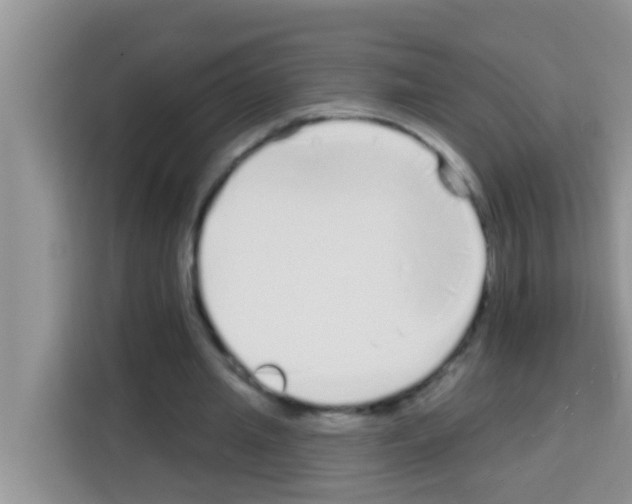 X0000113120437200910091140
