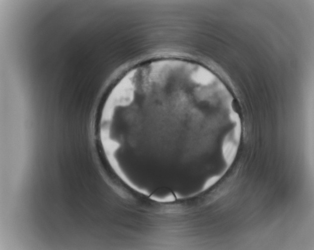 X0000113120438200910091140