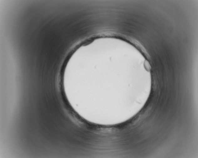 X0000113120439200910091140