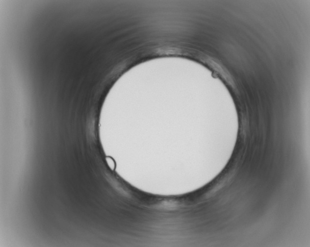 X0000113120441200910091140