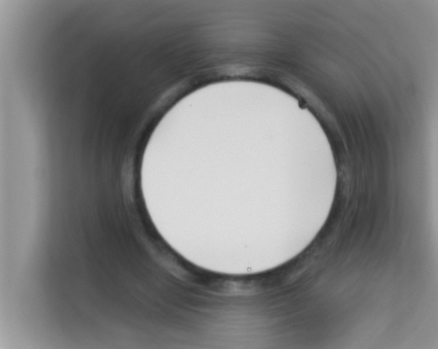 X0000113120442200910091140