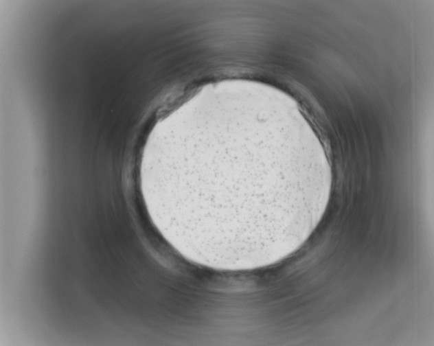 X0000113120443200910091140